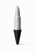 Bullet Plug